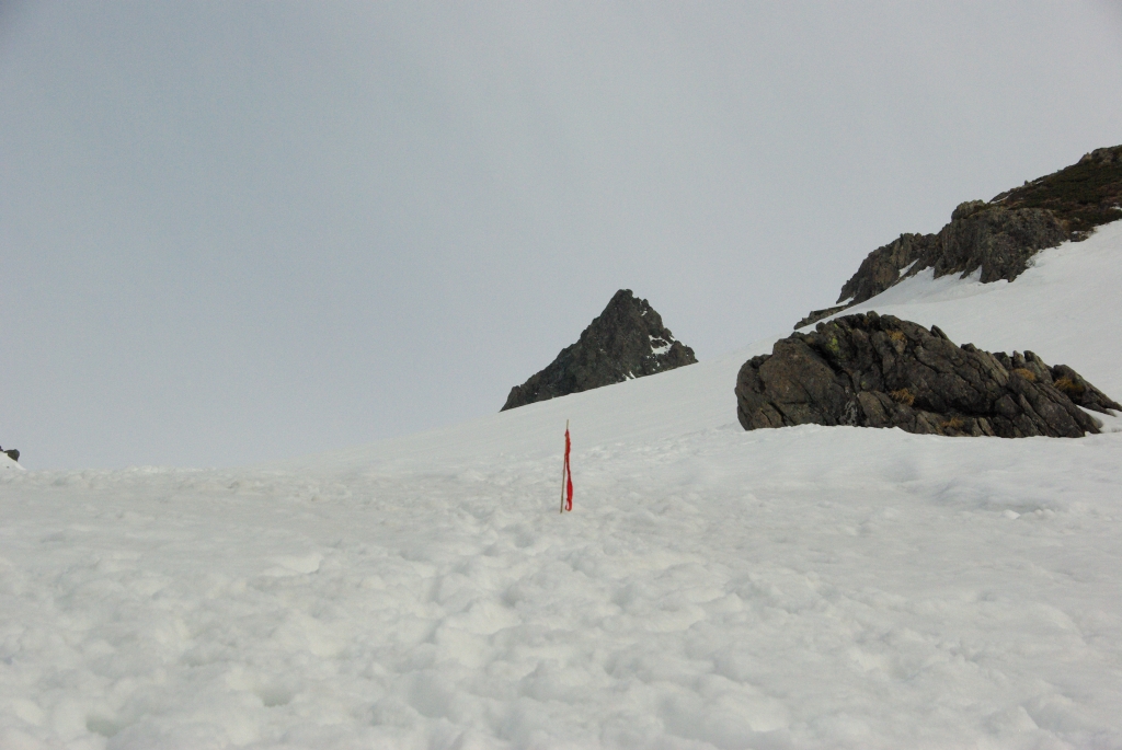 b0062024_18431238.jpg