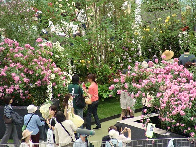 f0170524_2213919.jpg