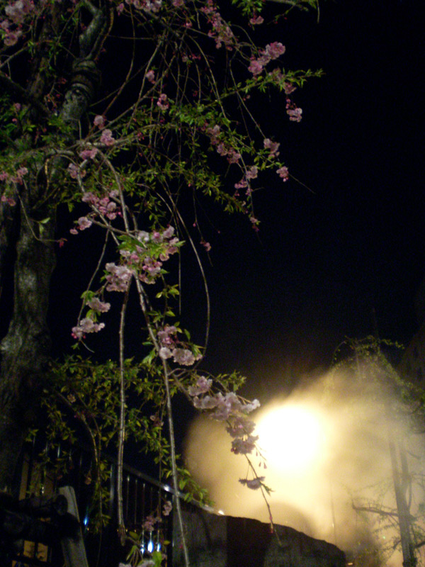e0037129_062224.jpg