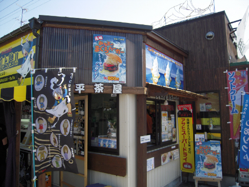 出雲から鳥取砂丘へ・・・・・その3_d0017632_23371729.jpg