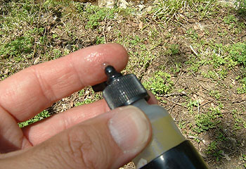 b0174137_197941.jpg