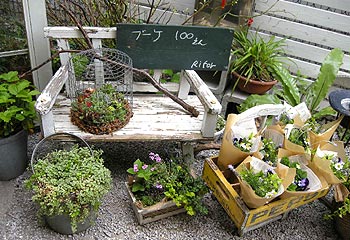 c0088739_21502512.jpg