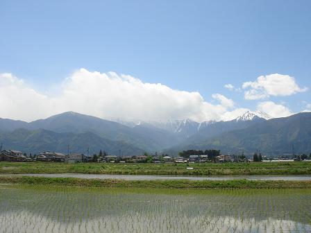 クルマをとめて_a0014840_22363758.jpg