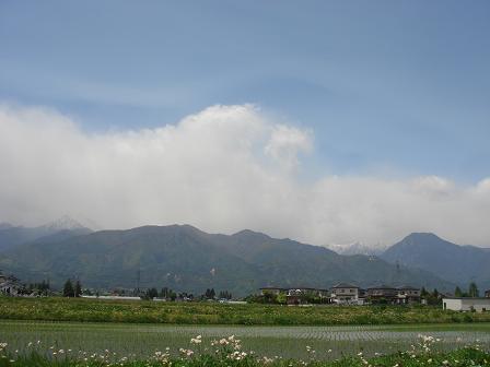 5月の天気雨_a0014840_224615.jpg