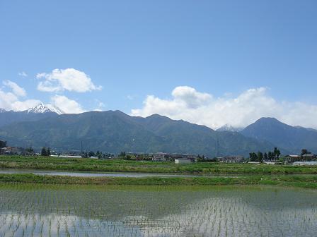 変わりゆくも変わらないもの_a0014840_2248102.jpg