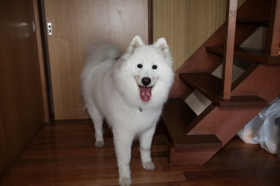 f0172840_8271773.jpg