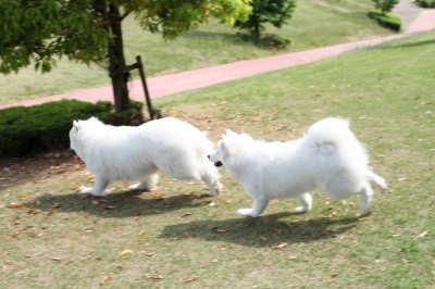 f0172840_8281010.jpg