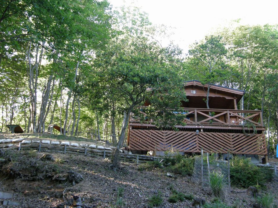 f0090444_22384044.jpg