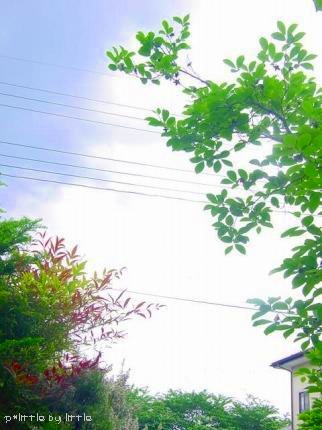 e0126350_2326526.jpg