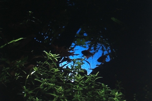 a0046952_20394234.jpg