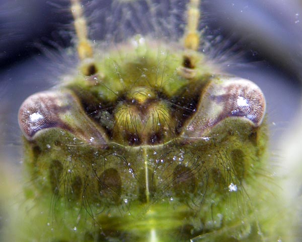e0035757_2257595.jpg