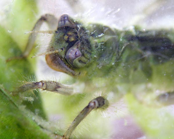 e0035757_2258121.jpg