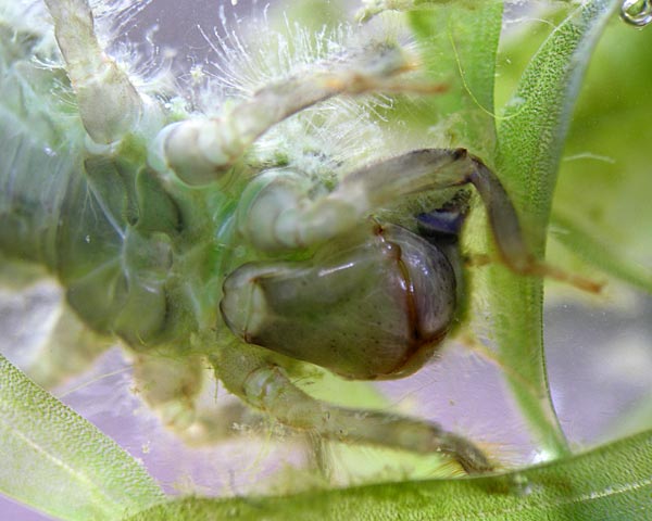e0035757_22582312.jpg