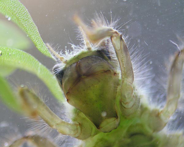 e0035757_22591911.jpg