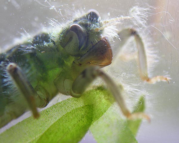 e0035757_22593555.jpg