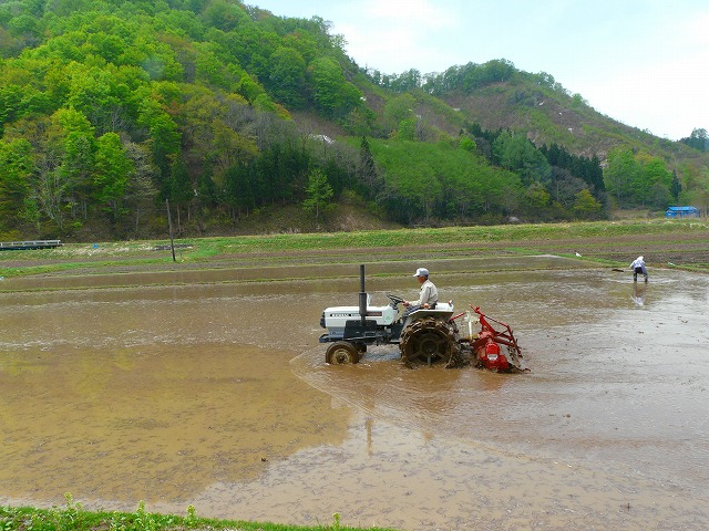 鳥海山へ道で～_d0041158_1612983.jpg