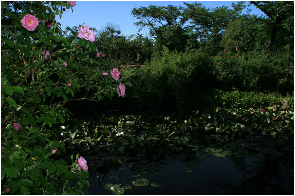 湧永庭園_f0147858_18521471.jpg