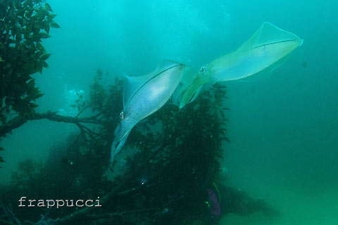 d0056263_21201115.jpg