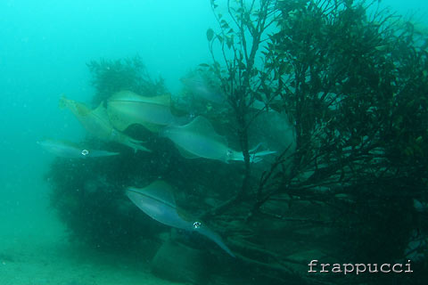 d0056263_21273214.jpg