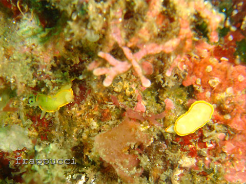 d0056263_21363628.jpg