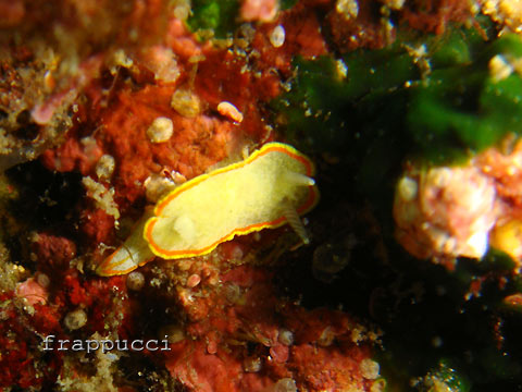 d0056263_21364530.jpg