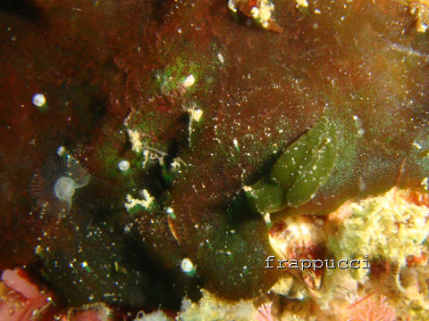 d0056263_21365360.jpg
