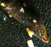 b0169765_11311740.jpg