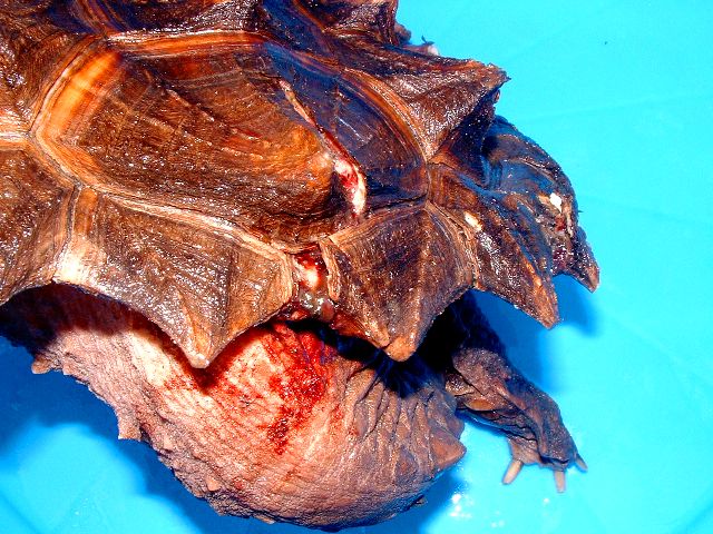 c0105569_0155534.jpg