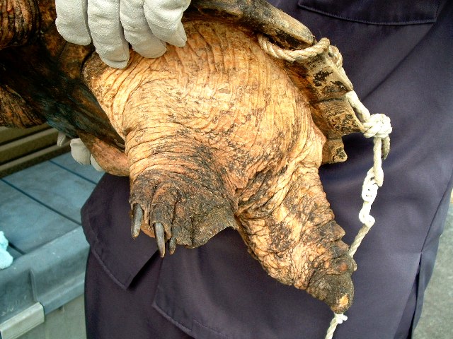 c0105569_0161565.jpg