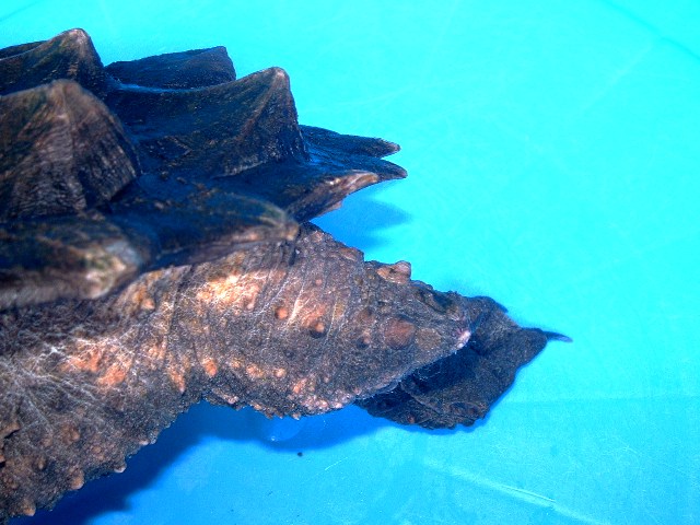 c0105569_0163265.jpg