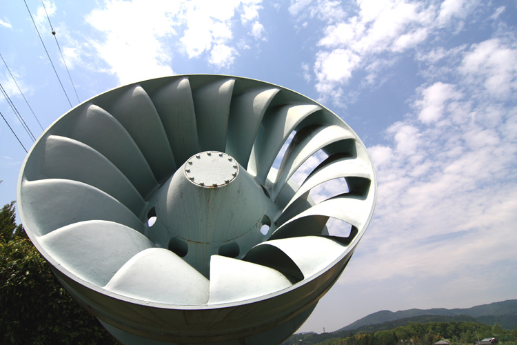 c0054876_175548.jpg