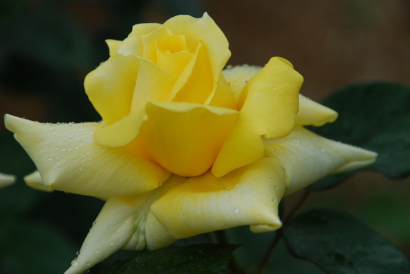 c0187781_91653.jpg