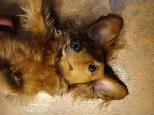 2009年5月14日 体もリフォーム??_b0098584_20453952.jpg
