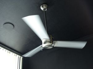 2009年5月13日 デスクは山。。。で事務所も_b0098584_75563.jpg