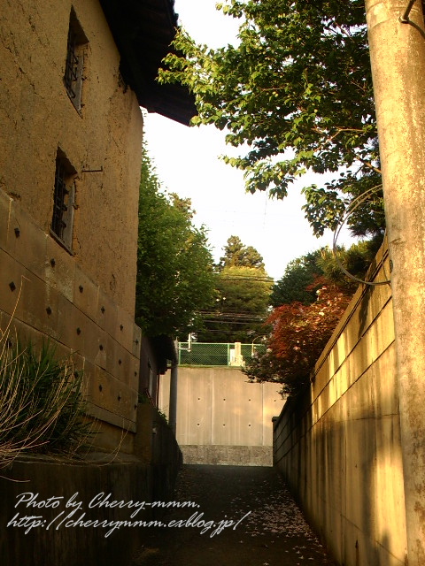 c0156789_2249320.jpg