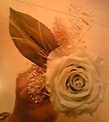 c0095091_1231042.jpg