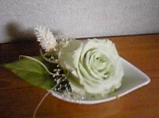 c0095091_1233142.jpg