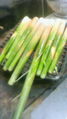 f0000593_22461465.jpg