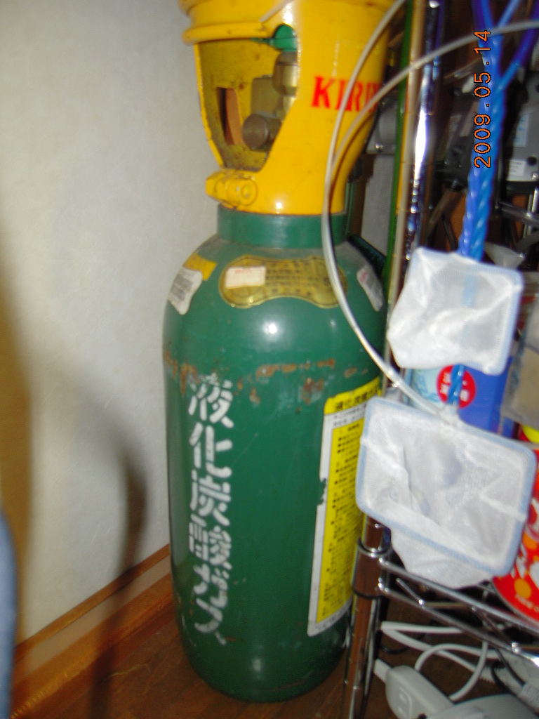 おいしいco2添加 Garciaのrockでaquaでオバカな日常 おいしいco2添加 Garciaのrockでaquaでオバカな日常