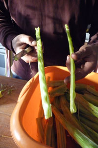 畑の便利野菜カルドの下準備_f0106597_16482667.jpg