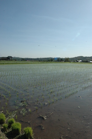 c0164598_1614335.jpg