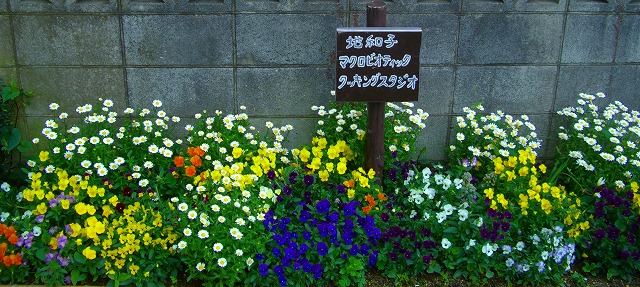 c0125702_1010663.jpg