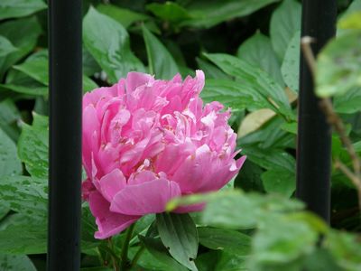 b0061107_23304849.jpg