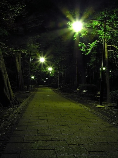 夜の井の頭公園に広がる歌 楼音光 ろうねこう 風そよぐ 晴れた海