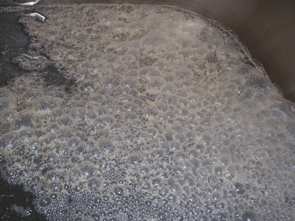 b0159611_18105317.gif