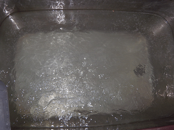 b0159611_1873980.gif