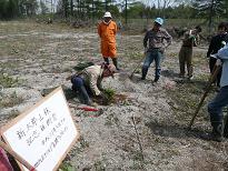09’-5定例活動 北山山林アカエゾマツ植樹_c0173813_22535231.jpg