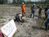 ０９’－５定例活動　北山山林アカエゾマツ植樹_c0173813_22535231.jpg