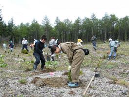 09’-5定例活動 北山山林アカエゾマツ植樹_c0173813_23164139.jpg