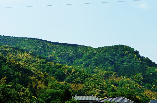 f0182513_1045215.jpg